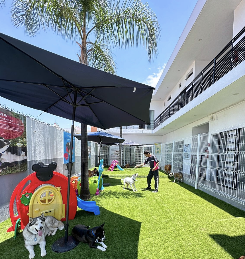 Socialización Supervisada - Huellitas Resort