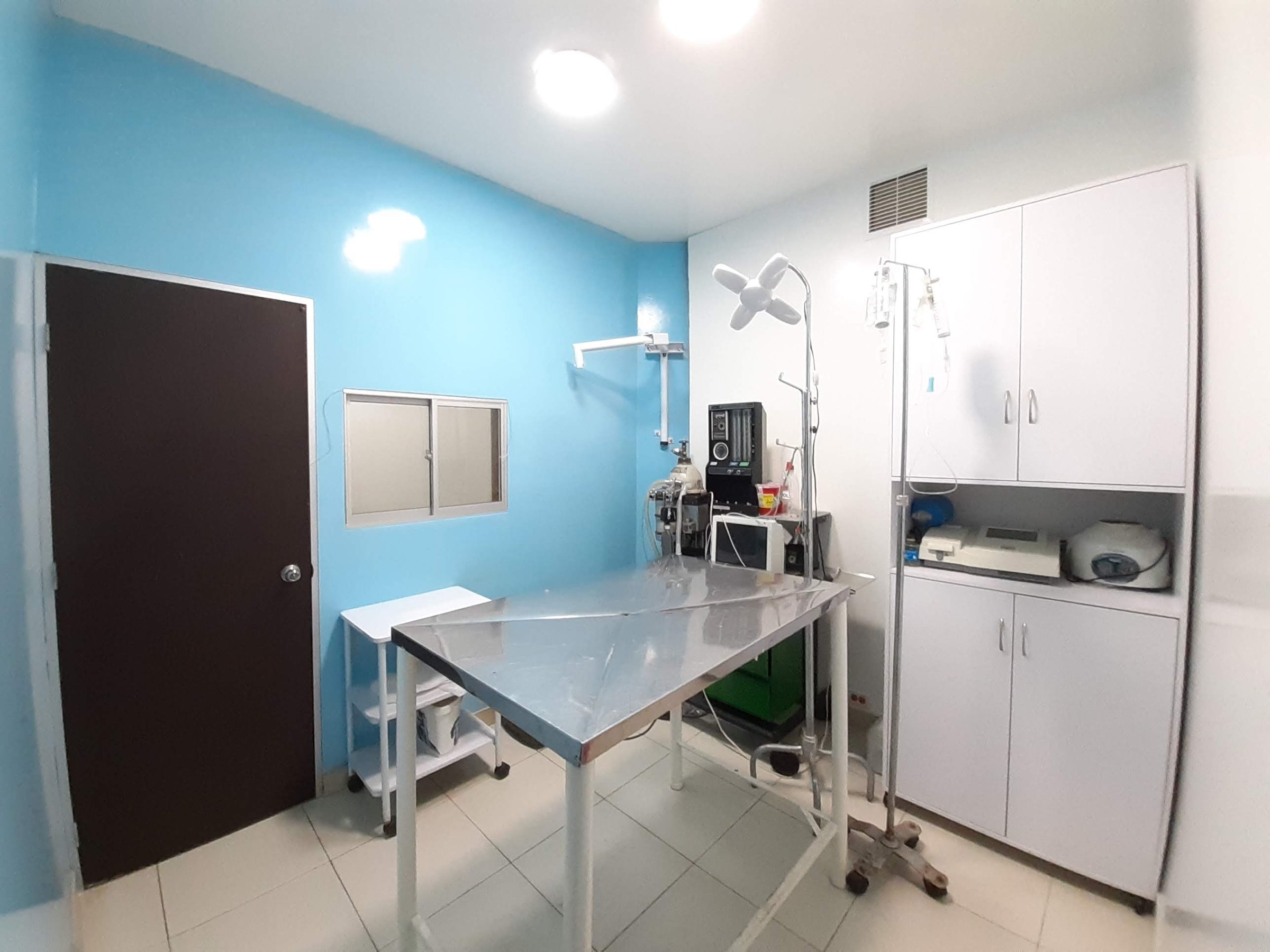 Clean veterinary examination room with a metal table, blue walls, medical equipment, and white cabinets.