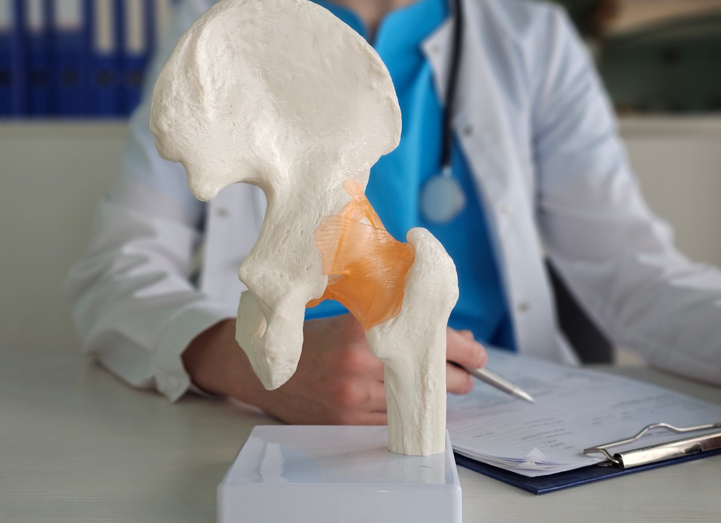 Medical professional examines anatomical model of hip joint while taking notes in clinic setting