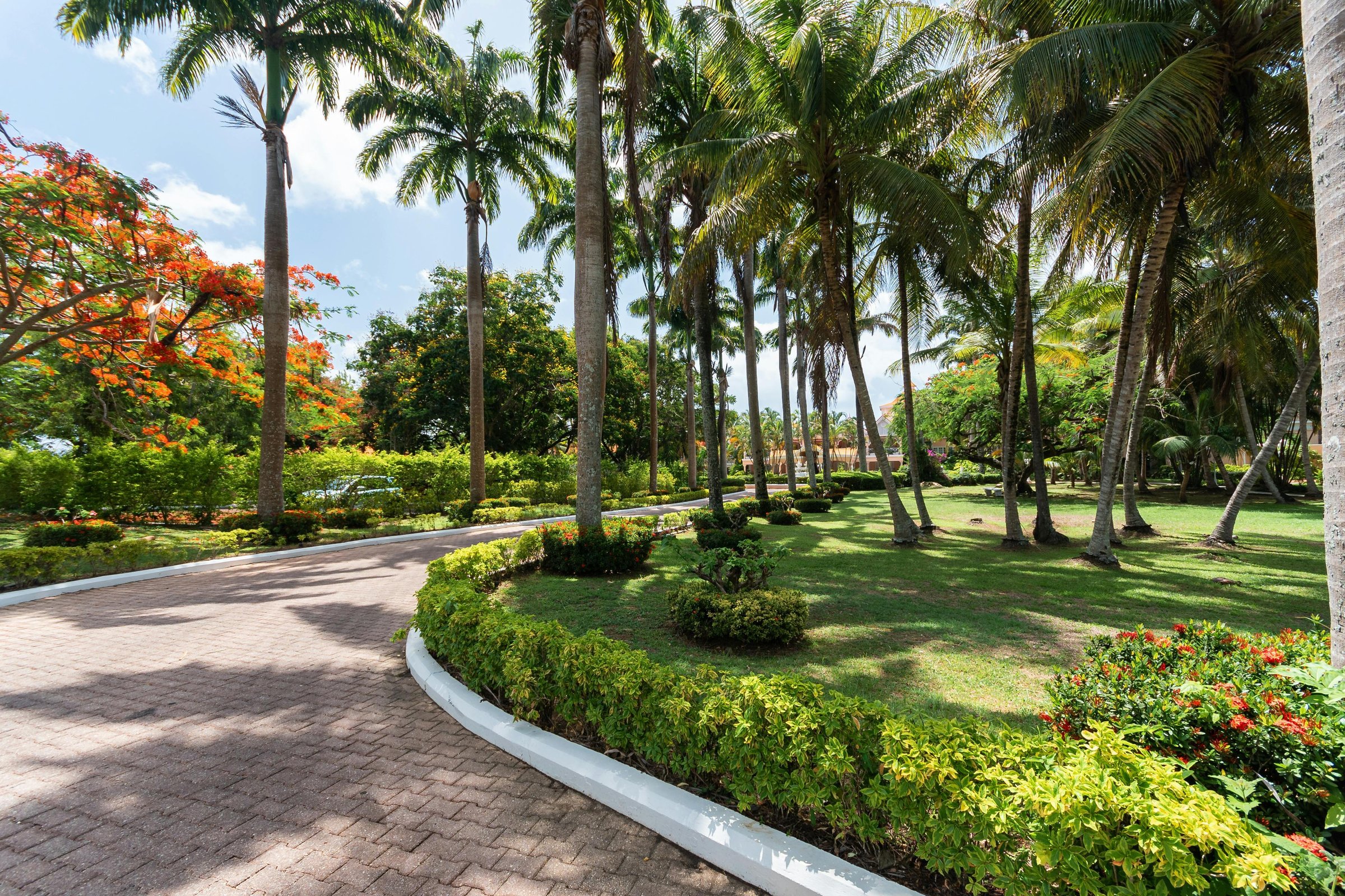 Beautiful hotel landscape with gardens and plants