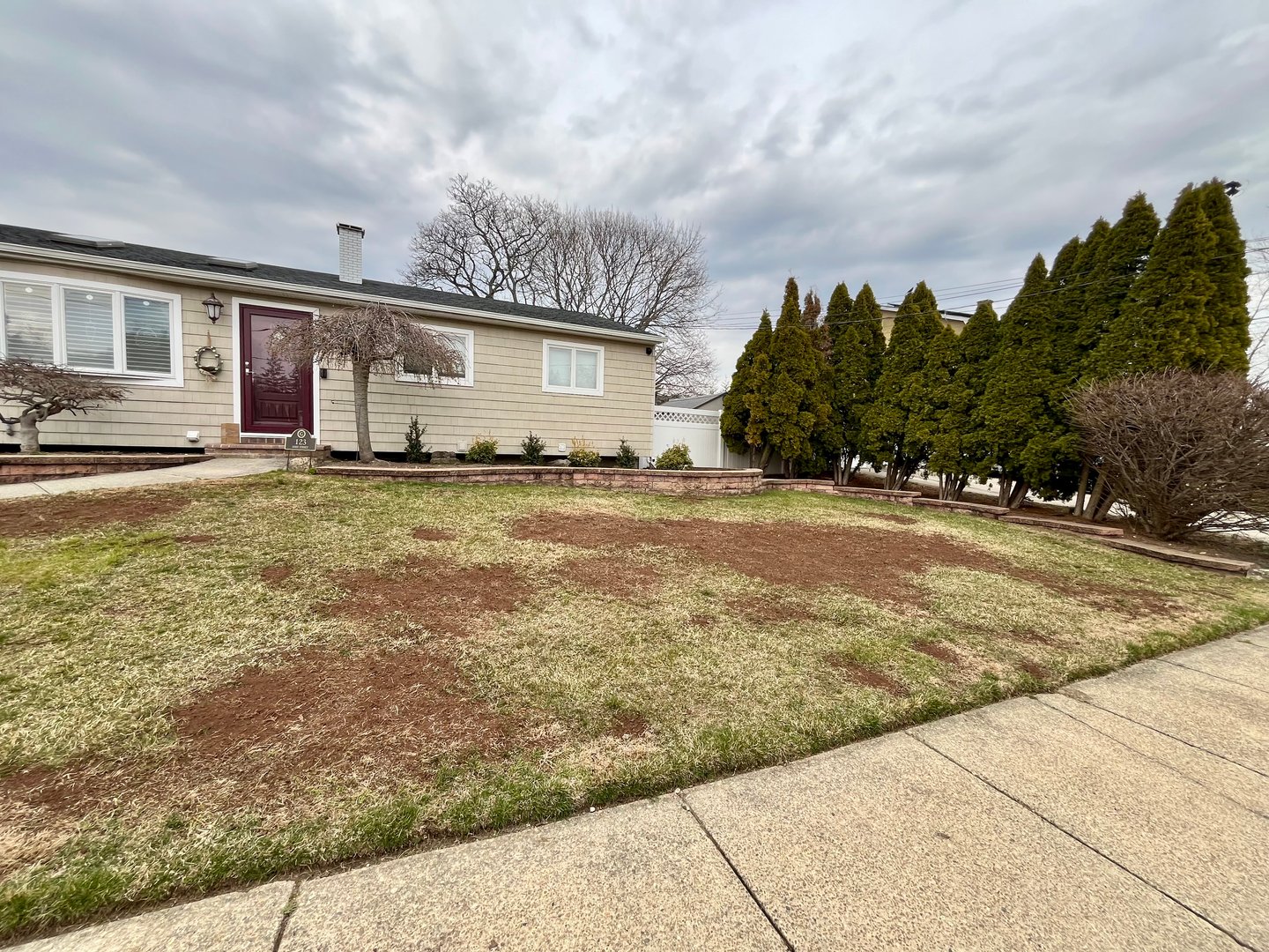 A lawn that has been dug up and reseeded.