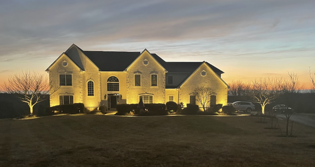 Basic Landscape Uplighting