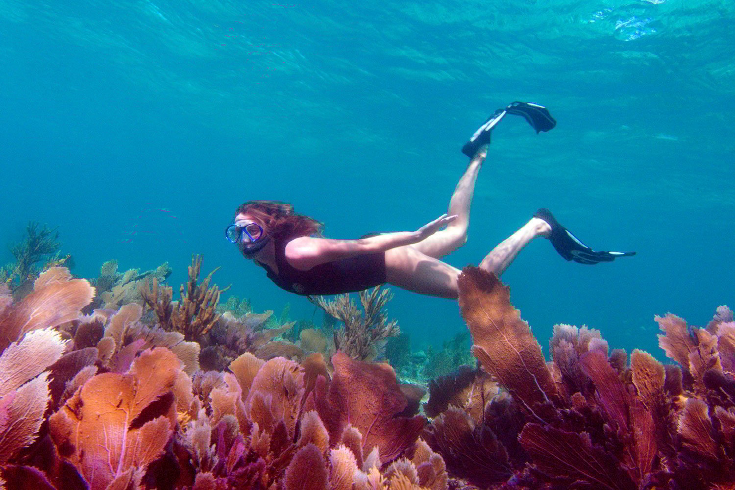 Snorkel trips with Captain Slate's Scuba Adventures in the Florida Keys