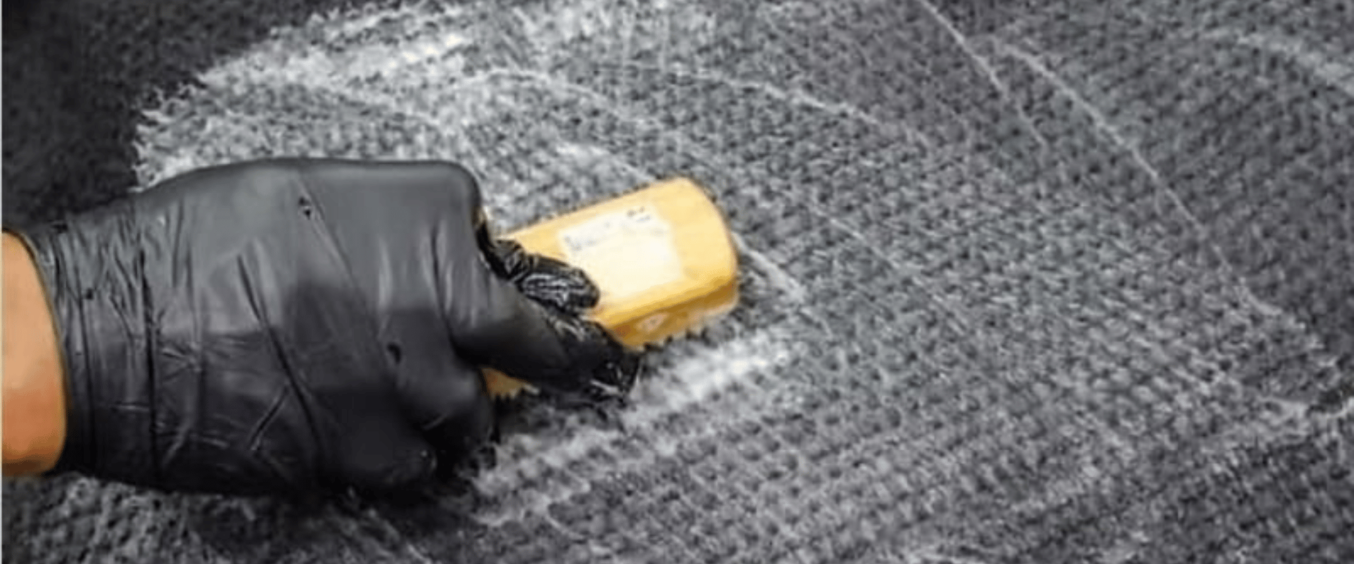 Steam & Shampoo Carpet