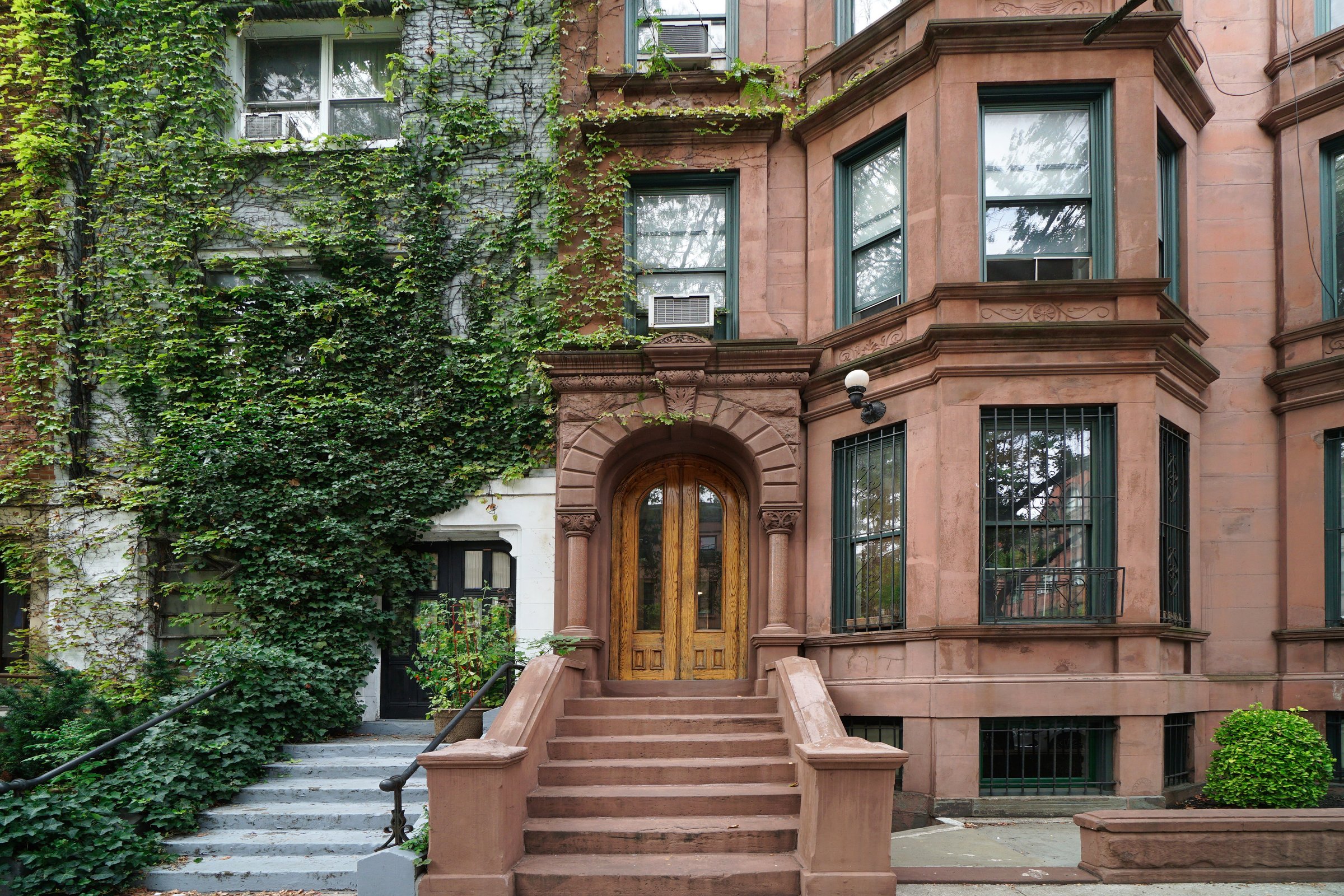 New York City, row of old townhouses with vines