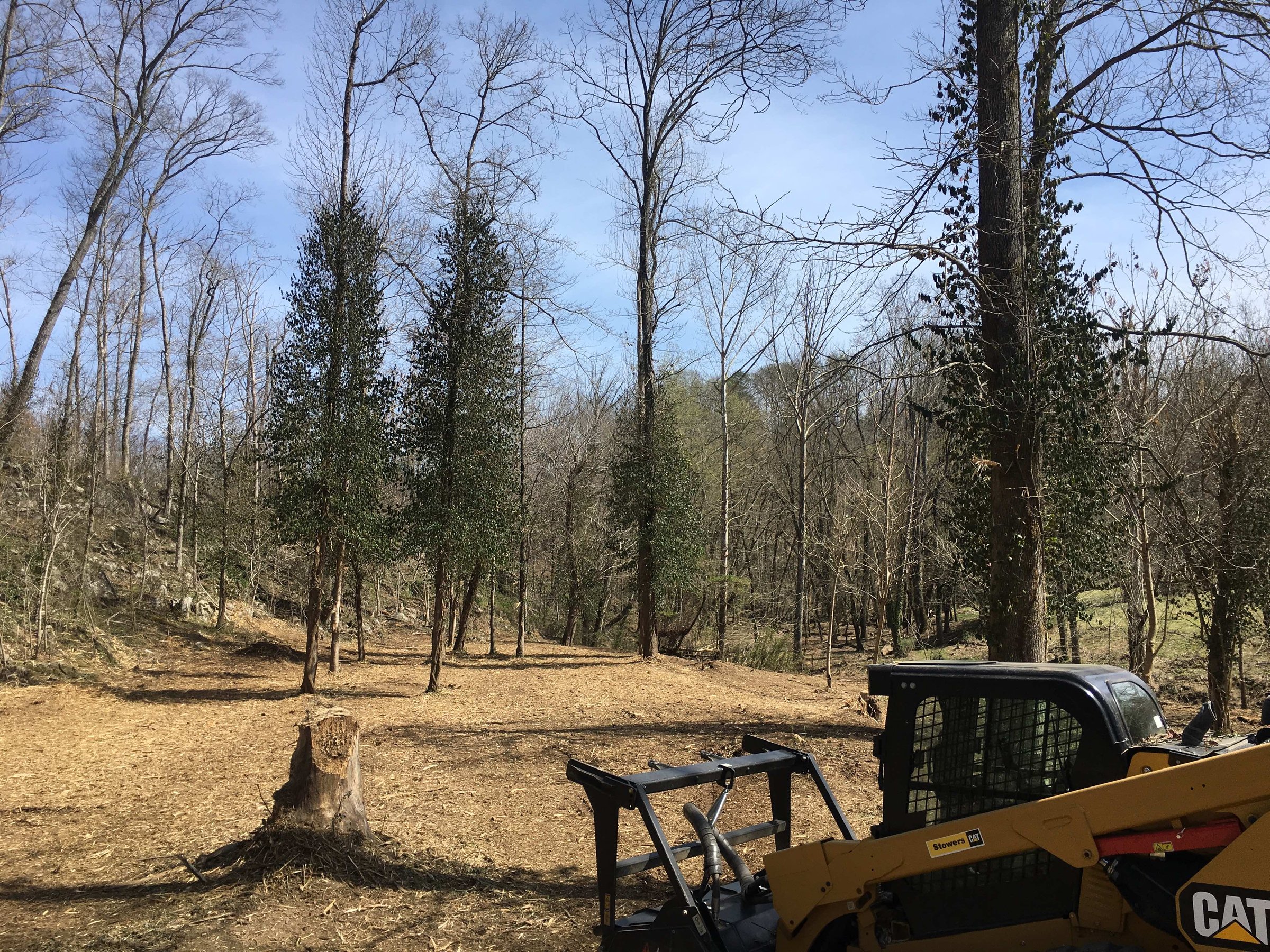 Land clearing project