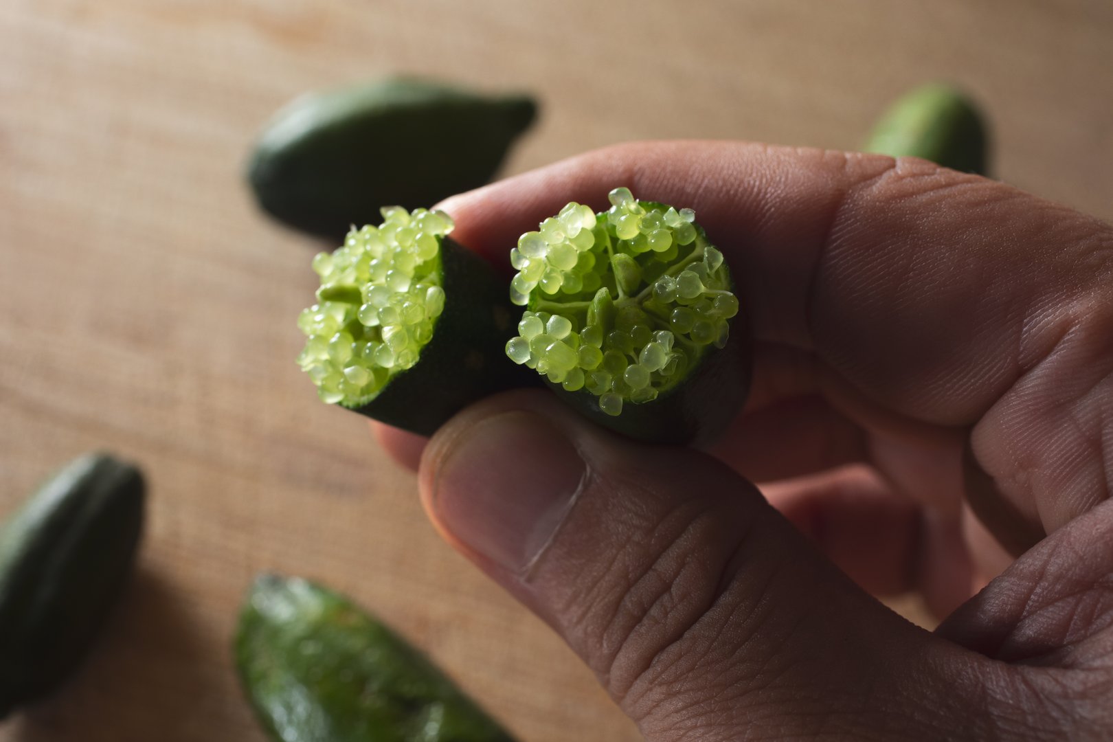 A view of a hand holding an Australian finger lime.