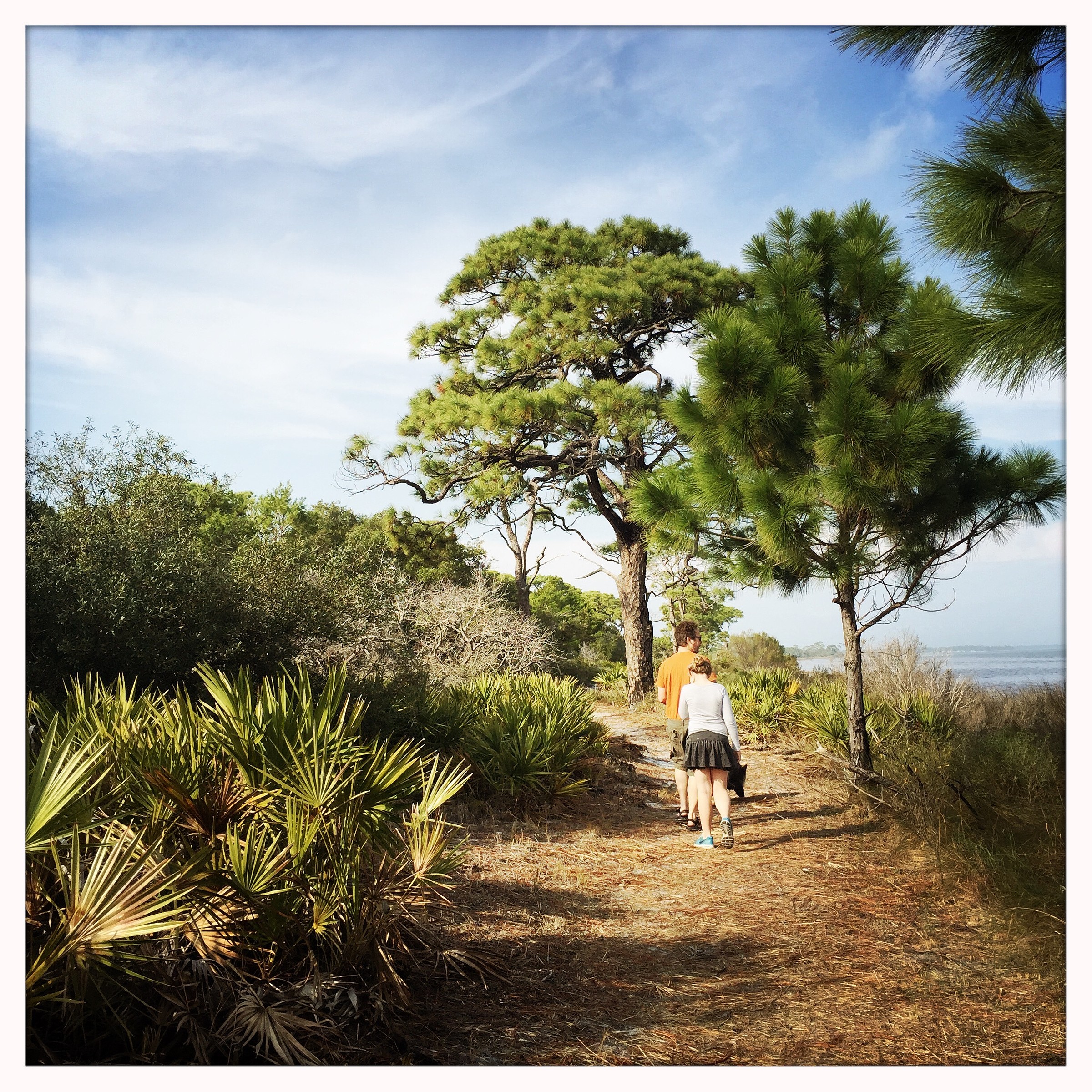 Family hiking nature trails near SeaCliffs Cape San Blas Florida