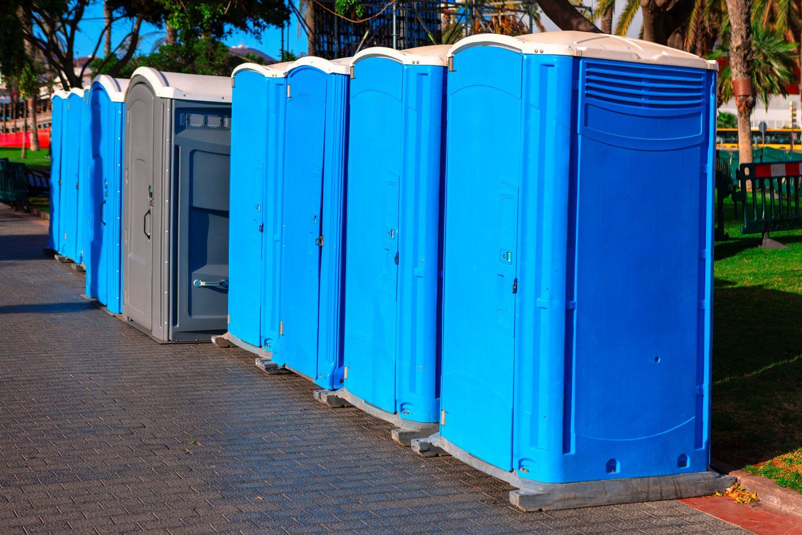 Row of portable blue toilets lined up along a paved walkway, with one gray unit standing out among them. Scene is set in a park-like area with green grass and trees