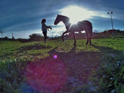 Silhouette of a person leading a horse on a grassy field, with the sun setting behind them and lens flare visible.