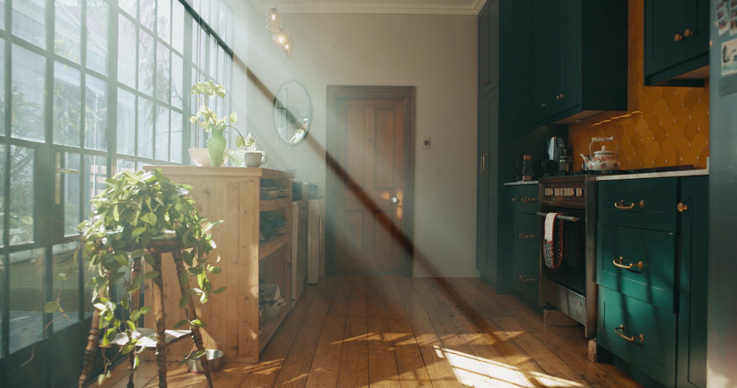 Empty, plants and decor in house, kitchen and interior design of room, green or sunlight in property.