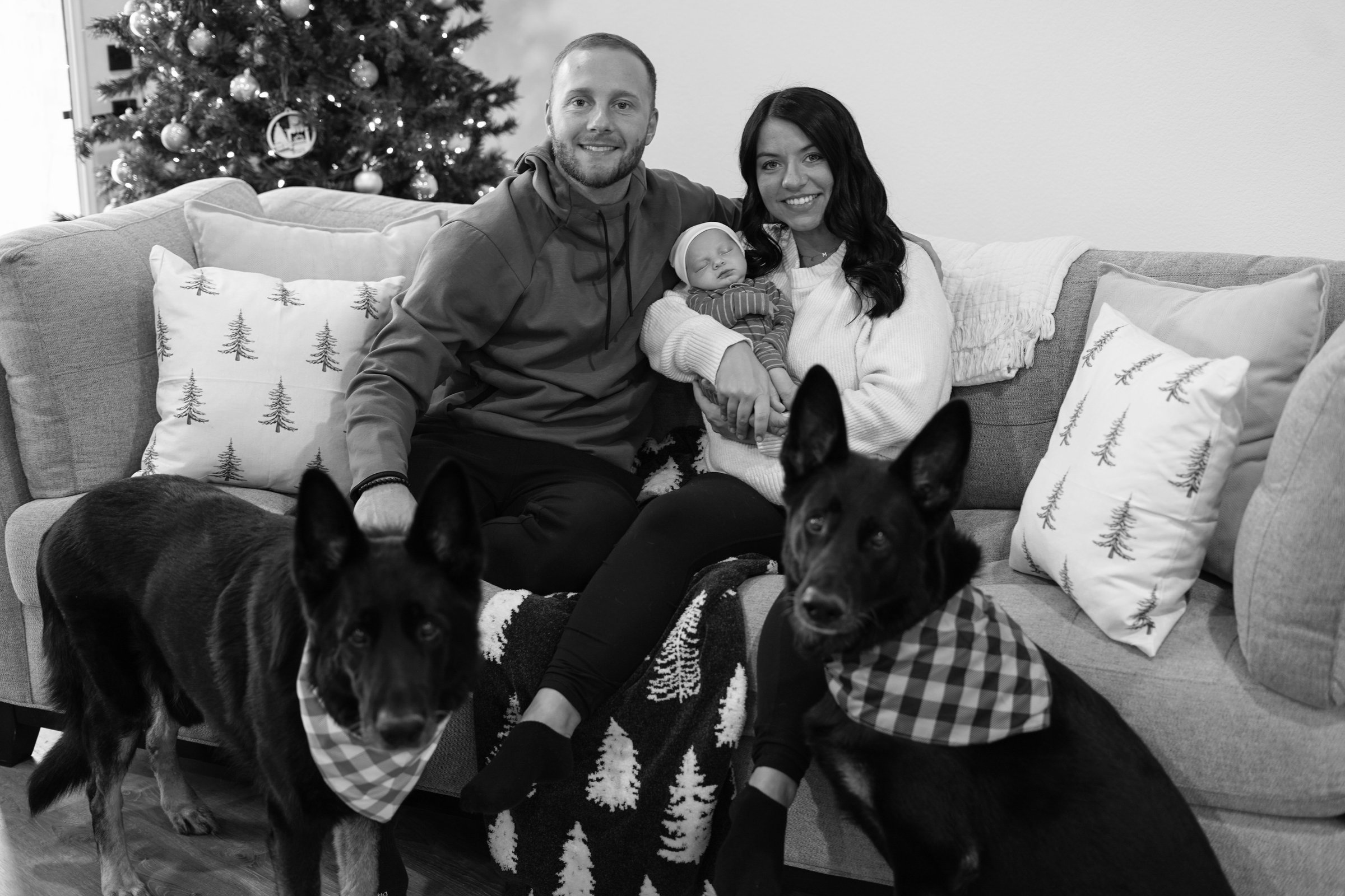 Legacy Web Design family team: Darin (CEO), Baylee (COO and Business Manager), baby Weston, and their dogs Chief and Dodger