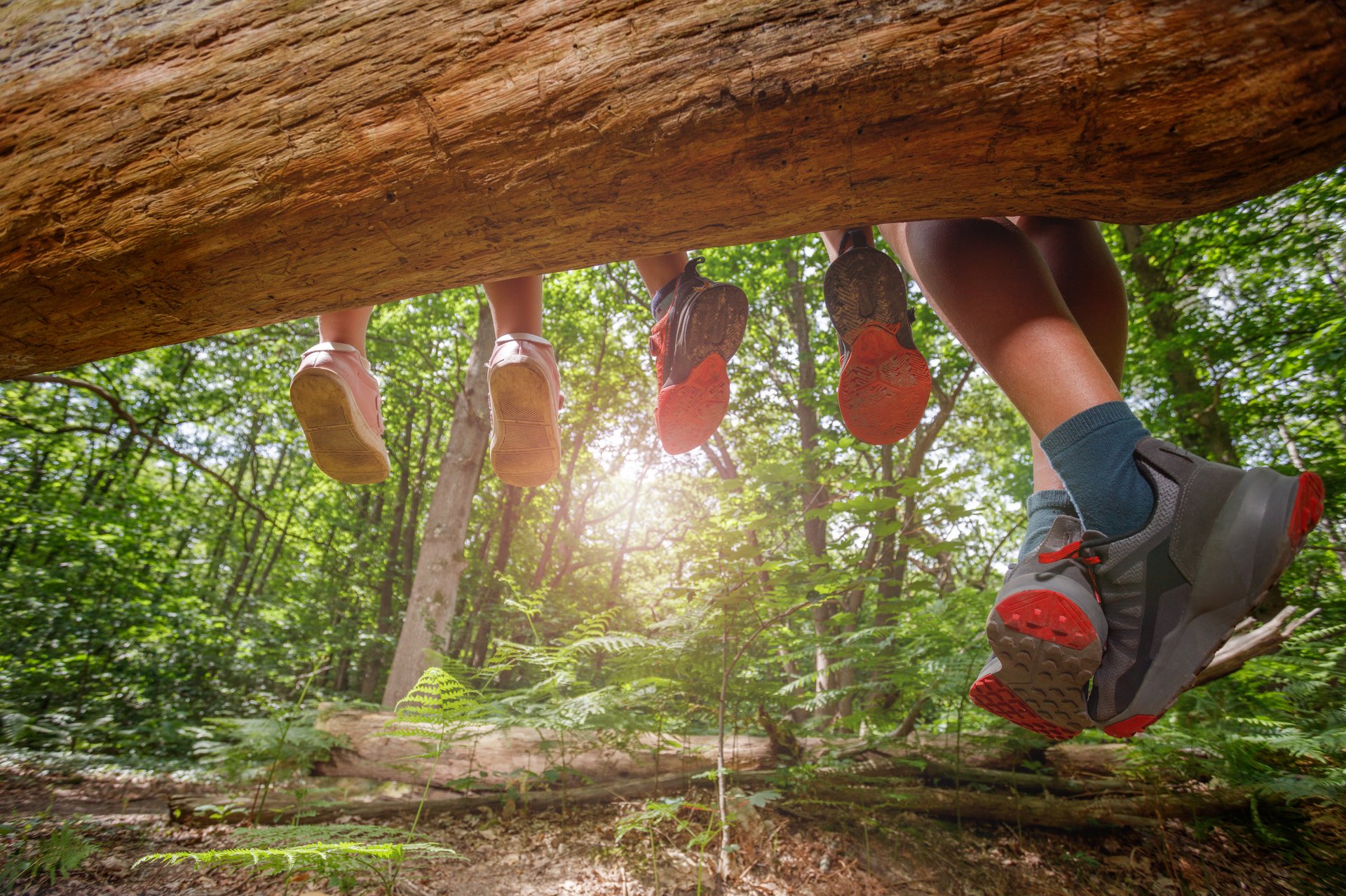 Four pairs of legs dangle from a log, their colorful shoes contrasting with the lush green forest backdrop as sunlight filters through the trees