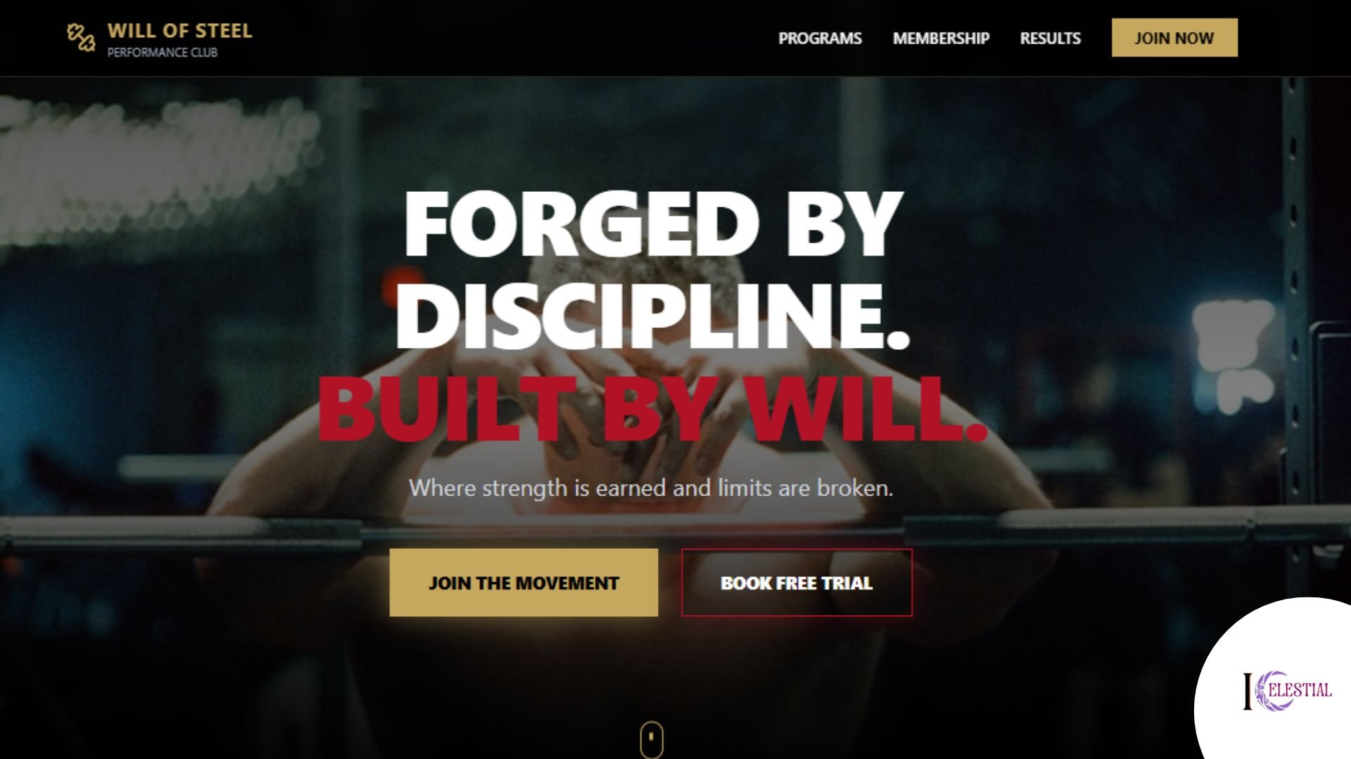 Will of Steel Performance Club Website Screenshot 1