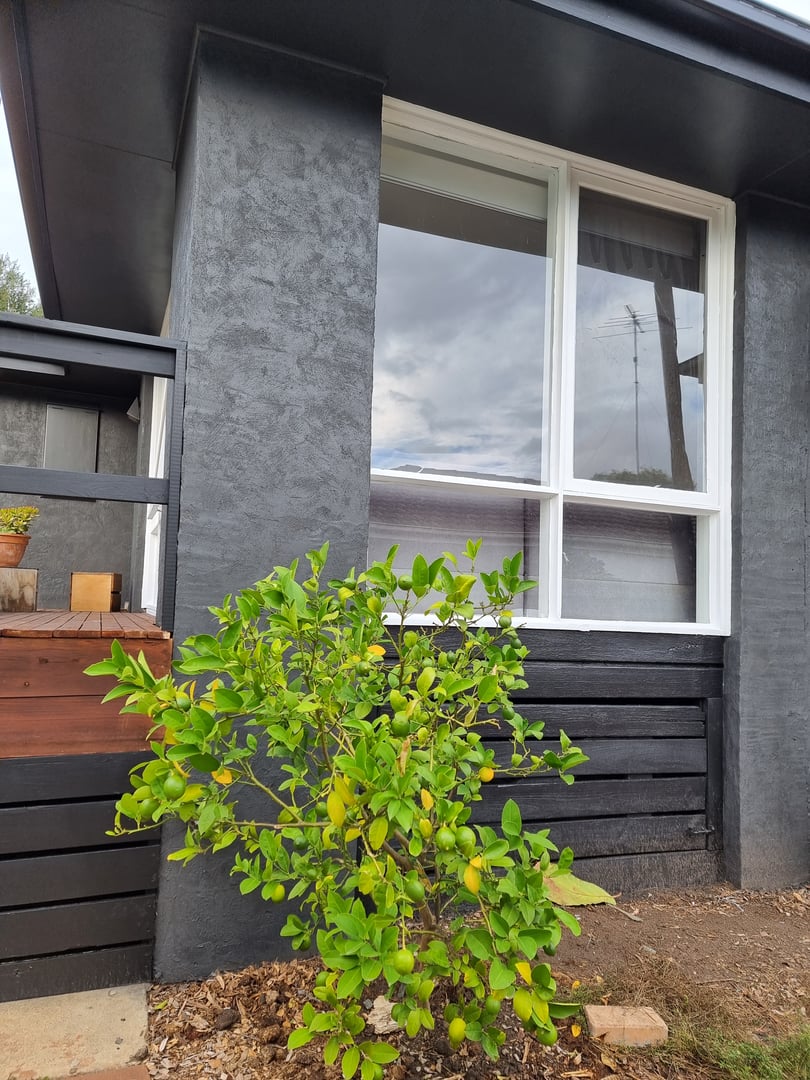 Contemporary family home exterior detail work by Quality Painting Group