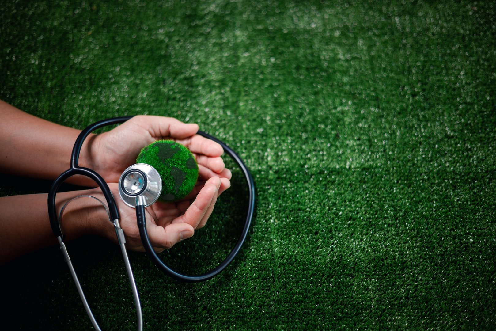 Global conservation efforts focus on the protection of the earth to address climate change, ensuring the environmental health of the planet and improving overall health care for all.