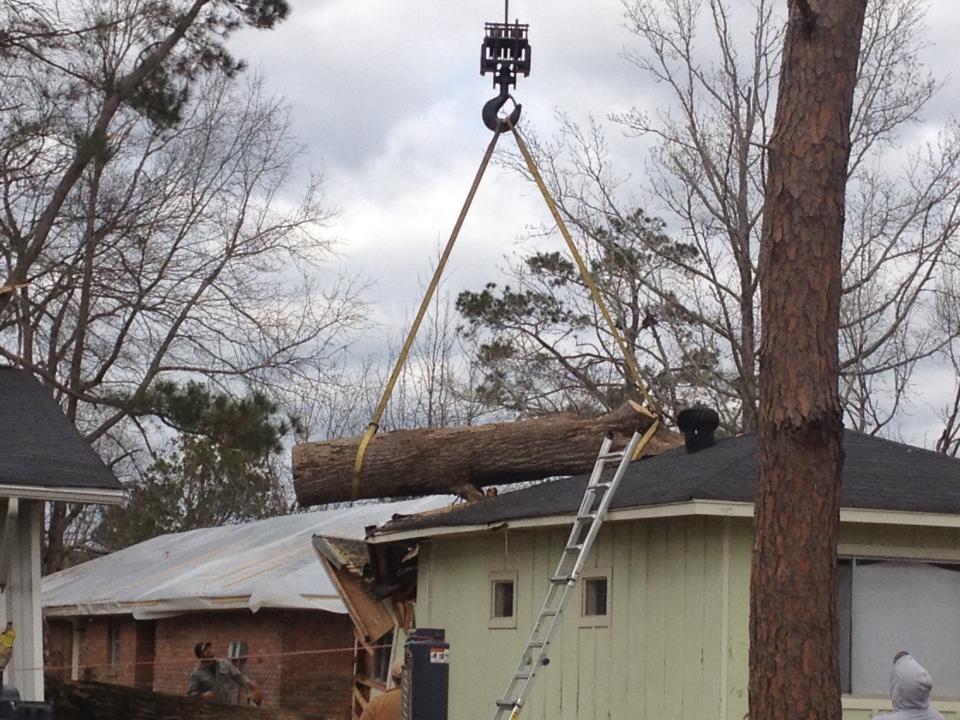 Stump grinding service