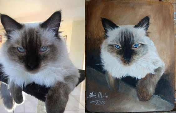 Zrealizowane zamówienie 6