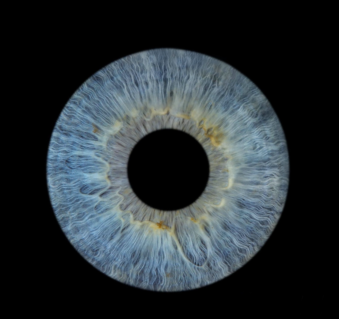 Iris Photography