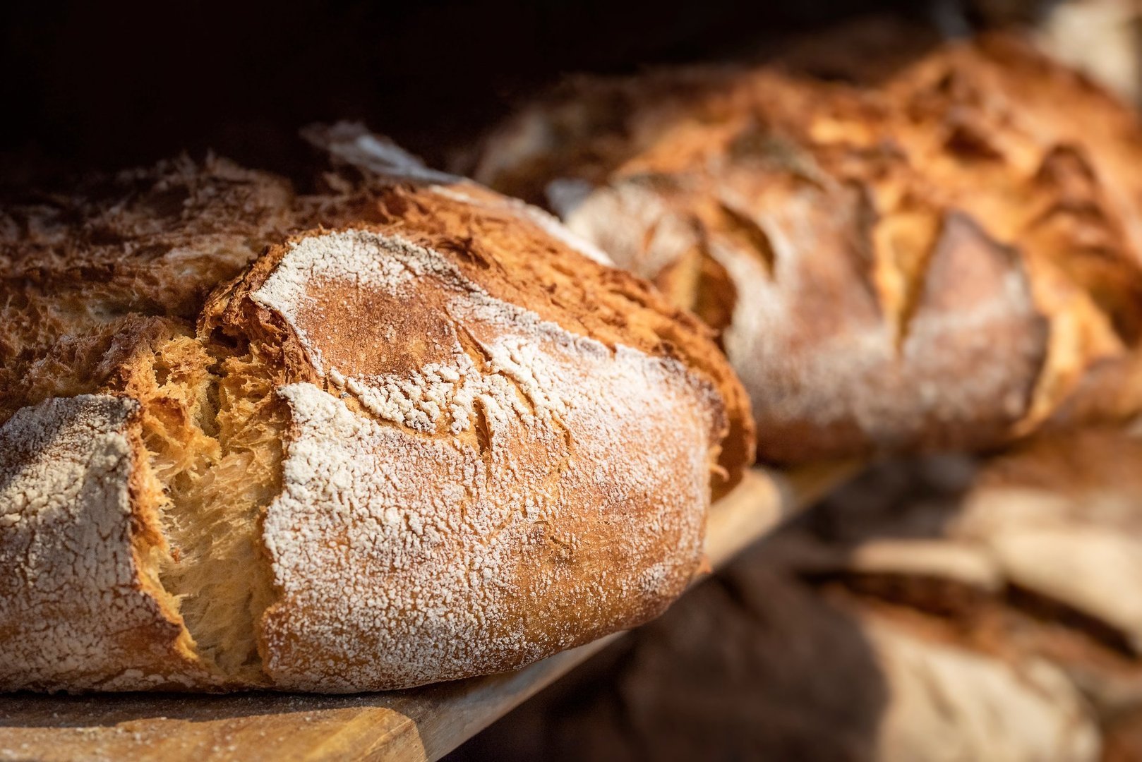Artisan bakery bread close-up