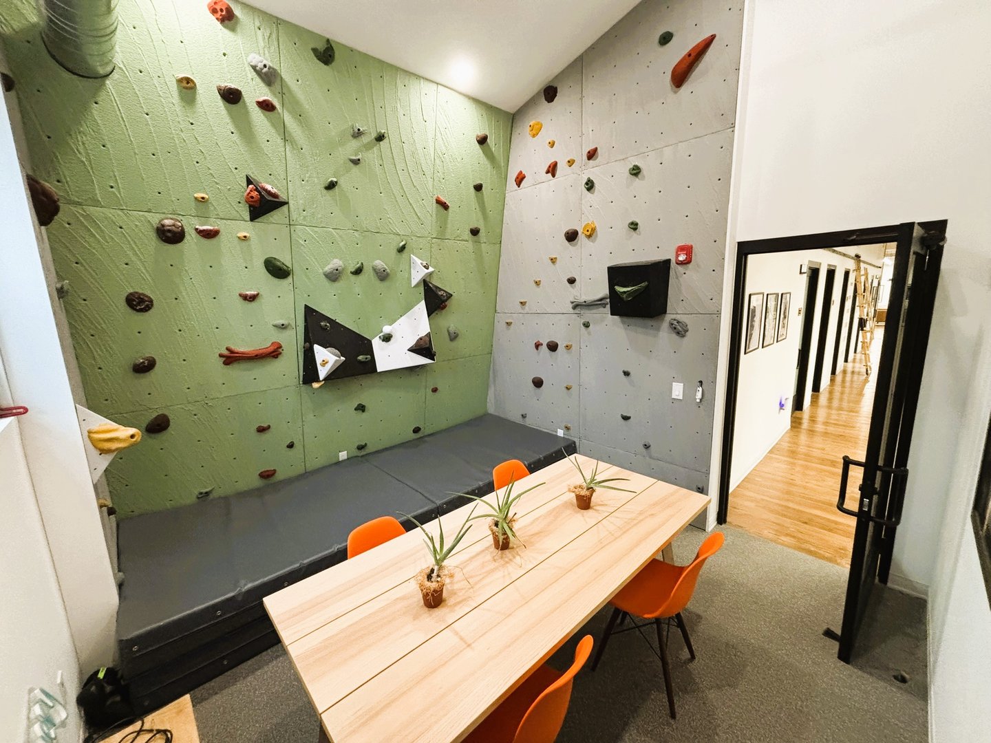 Climbing Wall Feature