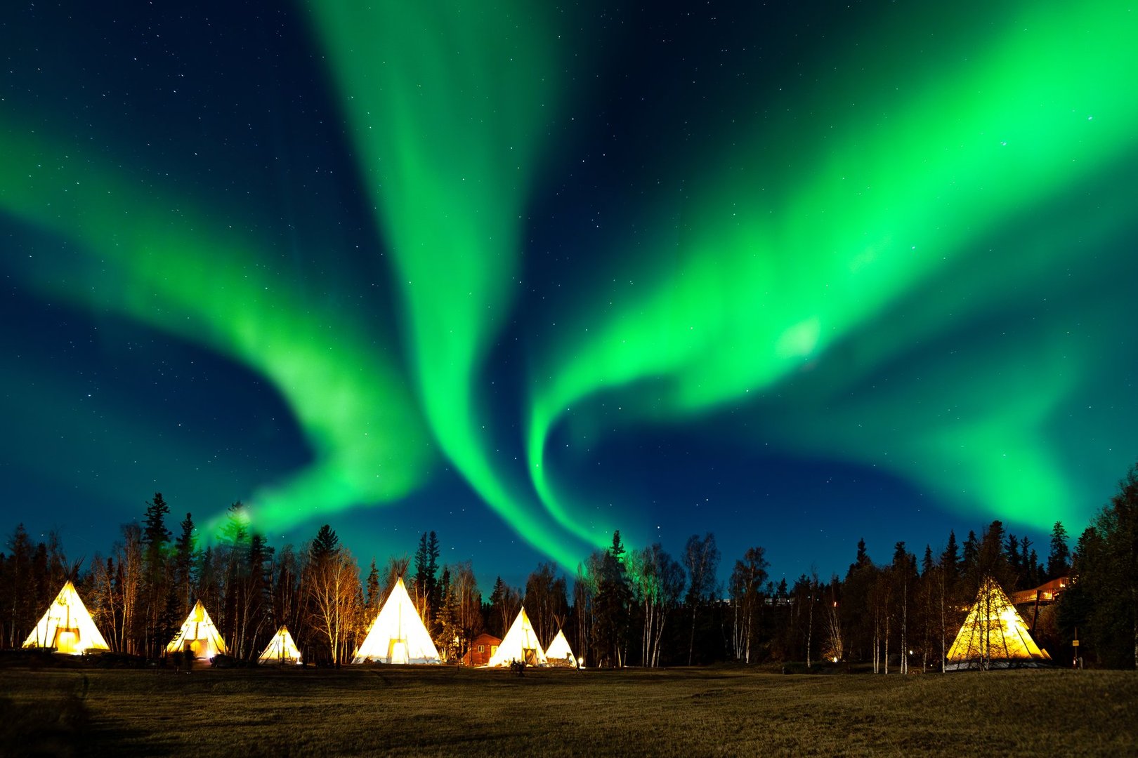 The breathtaking aurora borealis dances across the night sky in Yellowknife, Northwest Territories, Canada, with vibrant green and purple lights illuminating the snow-covered landscape and silhouetted trees.