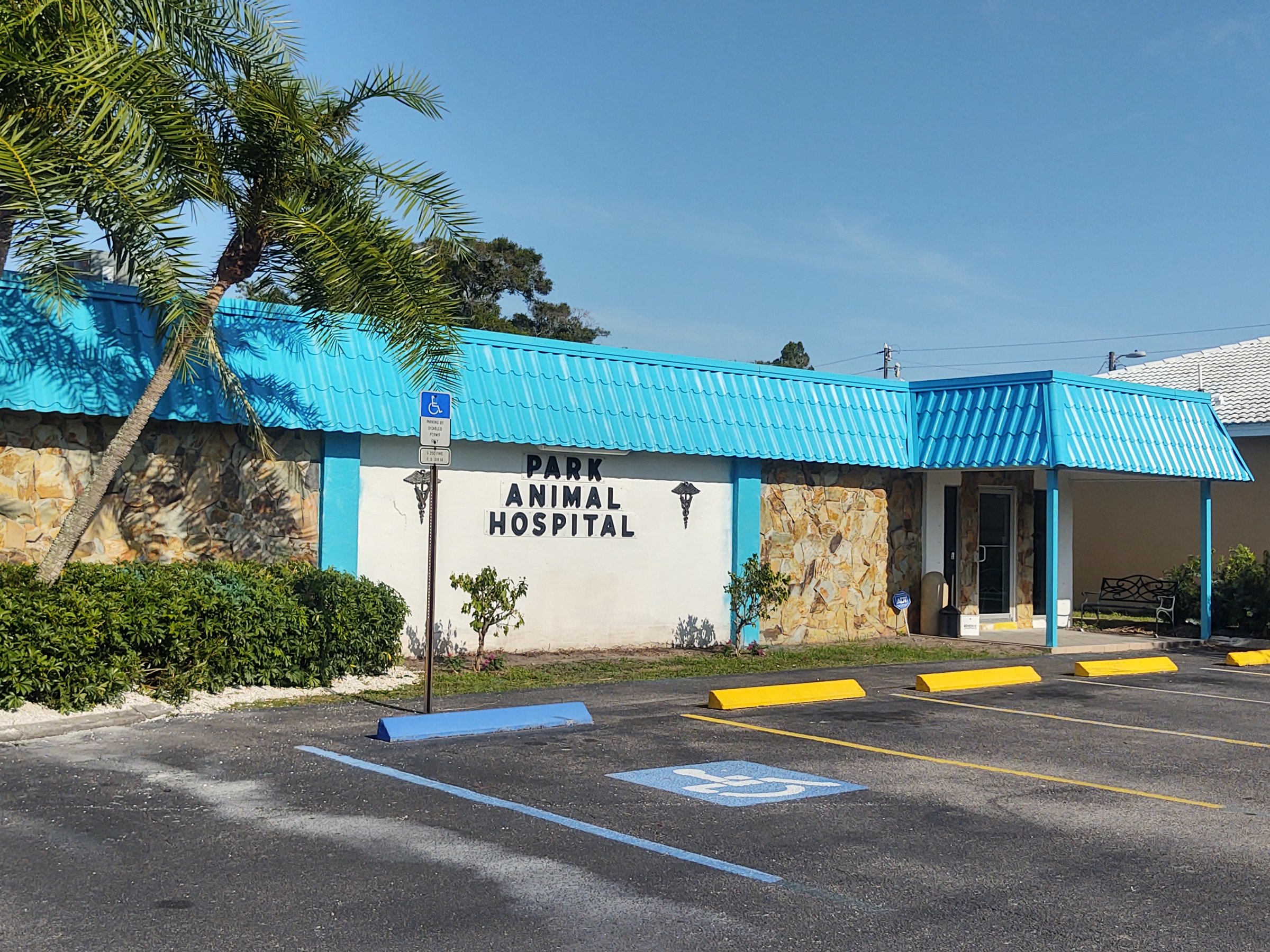Veterinary clinic with blue roof, palm tree, and handicapped parking space in front of the entrance.