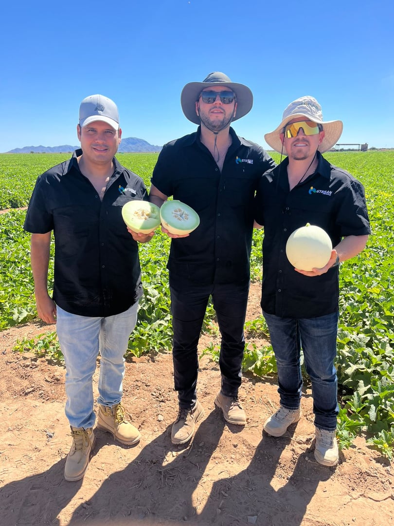 Stesan Produce team members in the field