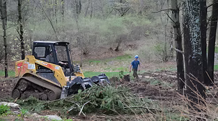 Professional brush cleanup and removal service