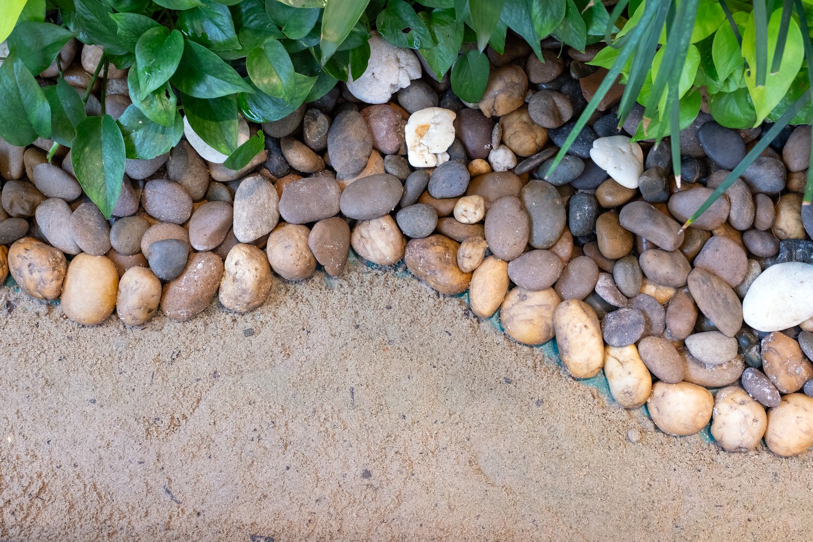 Smooth river stones with green leaves