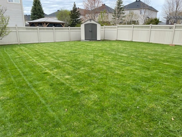 Capital City Grass lawn transformation