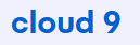 Blue text logo displaying cloud 9 on a light gray background.