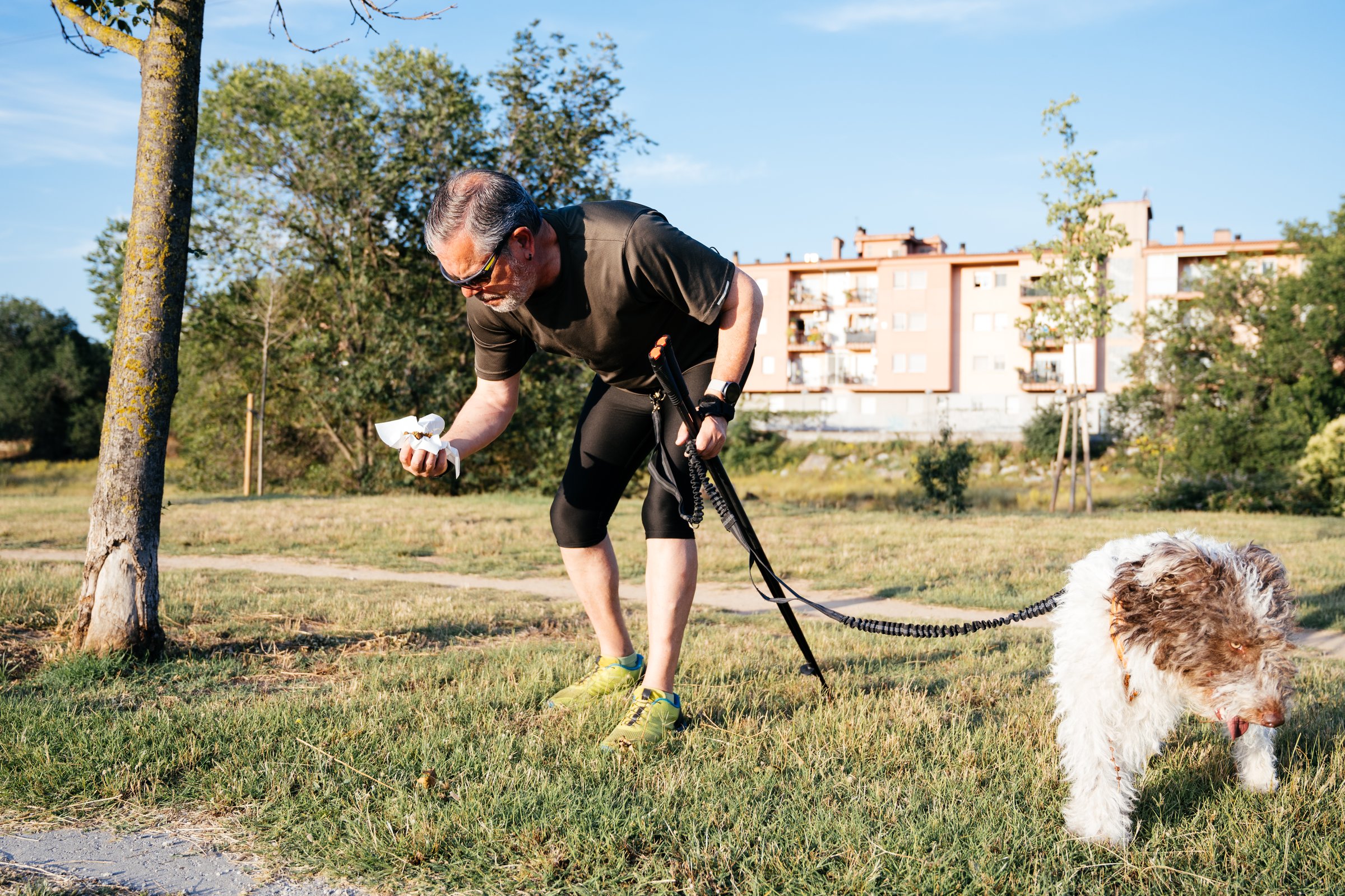 A man grimaces as he picks up dog waste in a park. His furry dog stands beside him, enjoying a leisurely walk on a sunny day in a green space with buildings in the background.