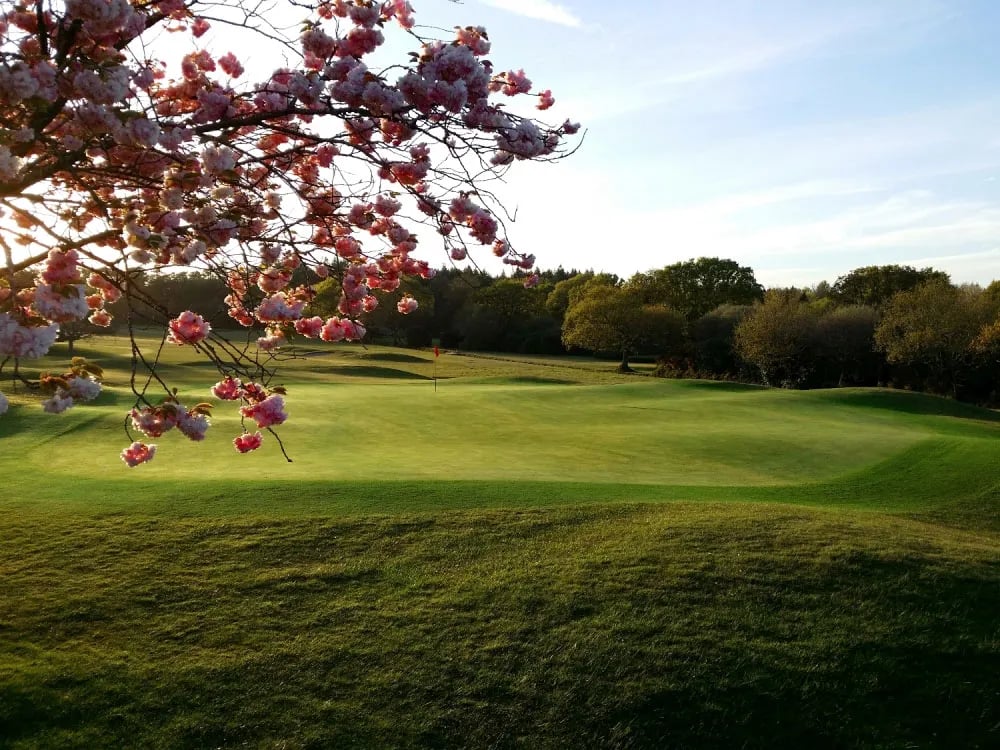 The Dorset Golf & Country Club 1st Woodland hole championship course