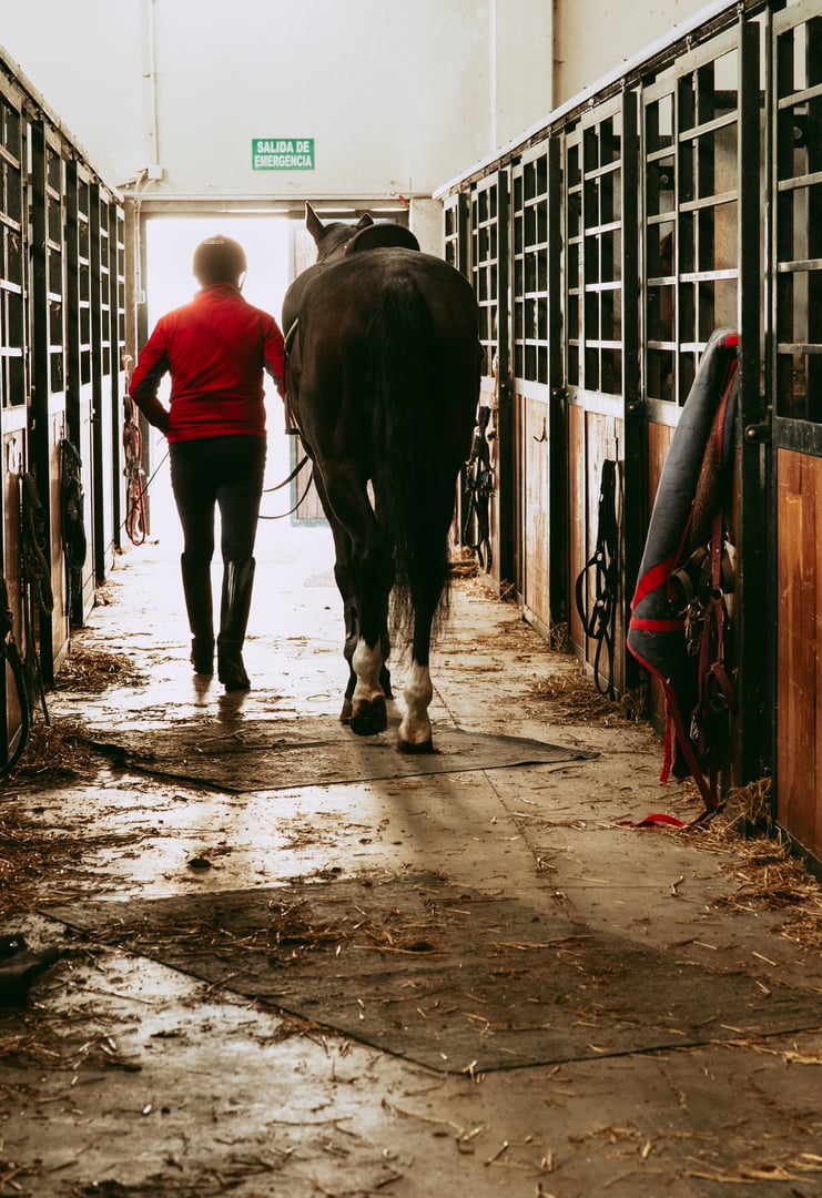 A rider in a red jacket leads his horse out of the stable, preparing for a riding session at the racetrack