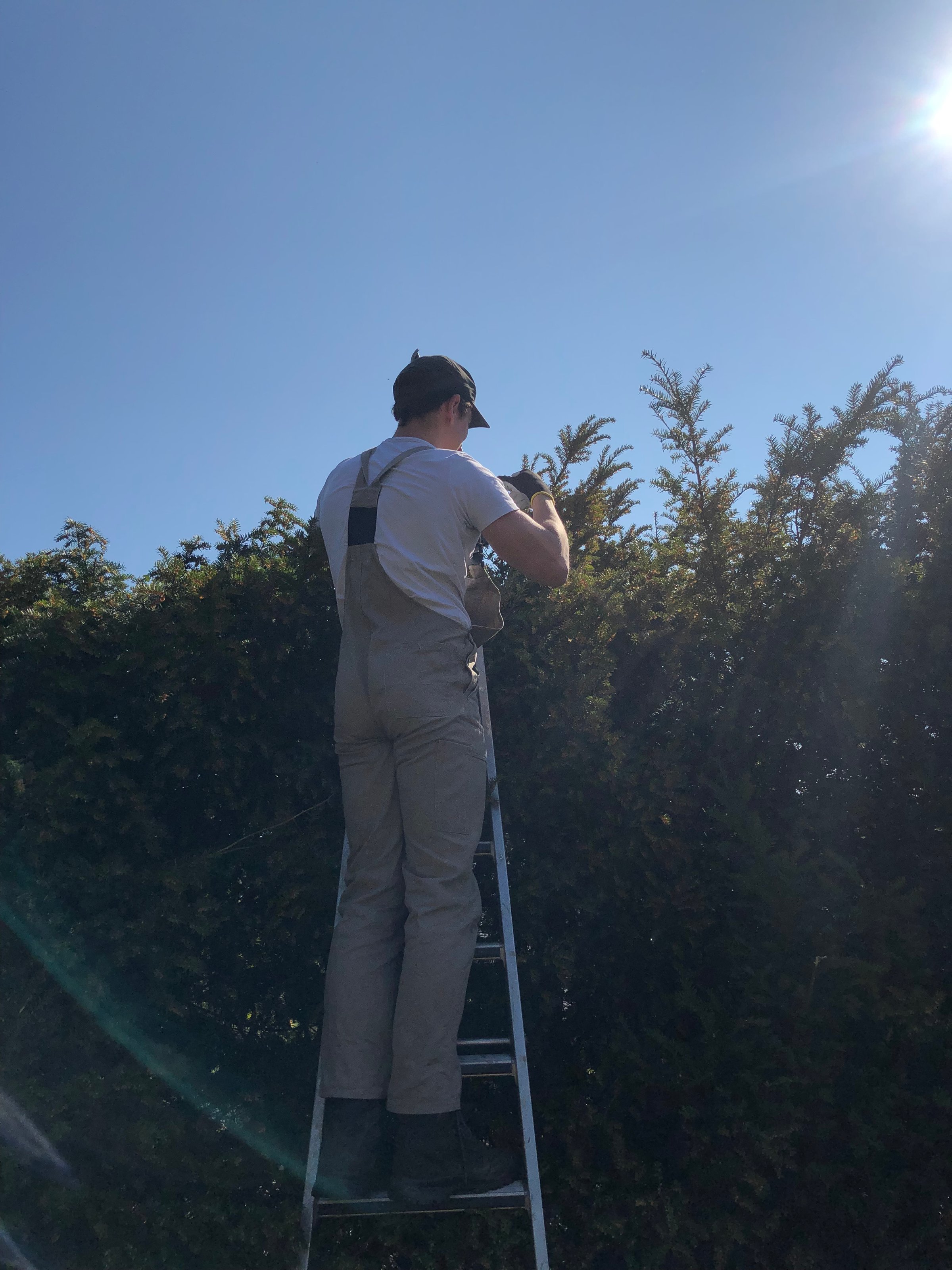 General Gardening Work Detail 1