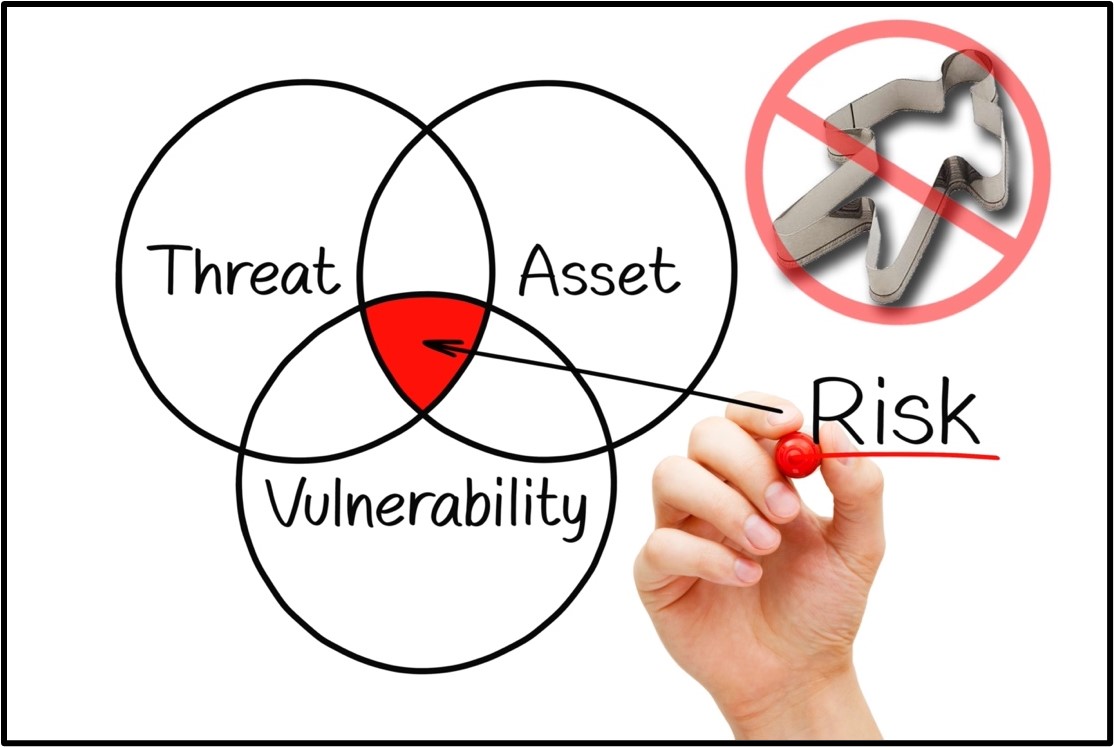 Professional security infrastructure and technology solutions