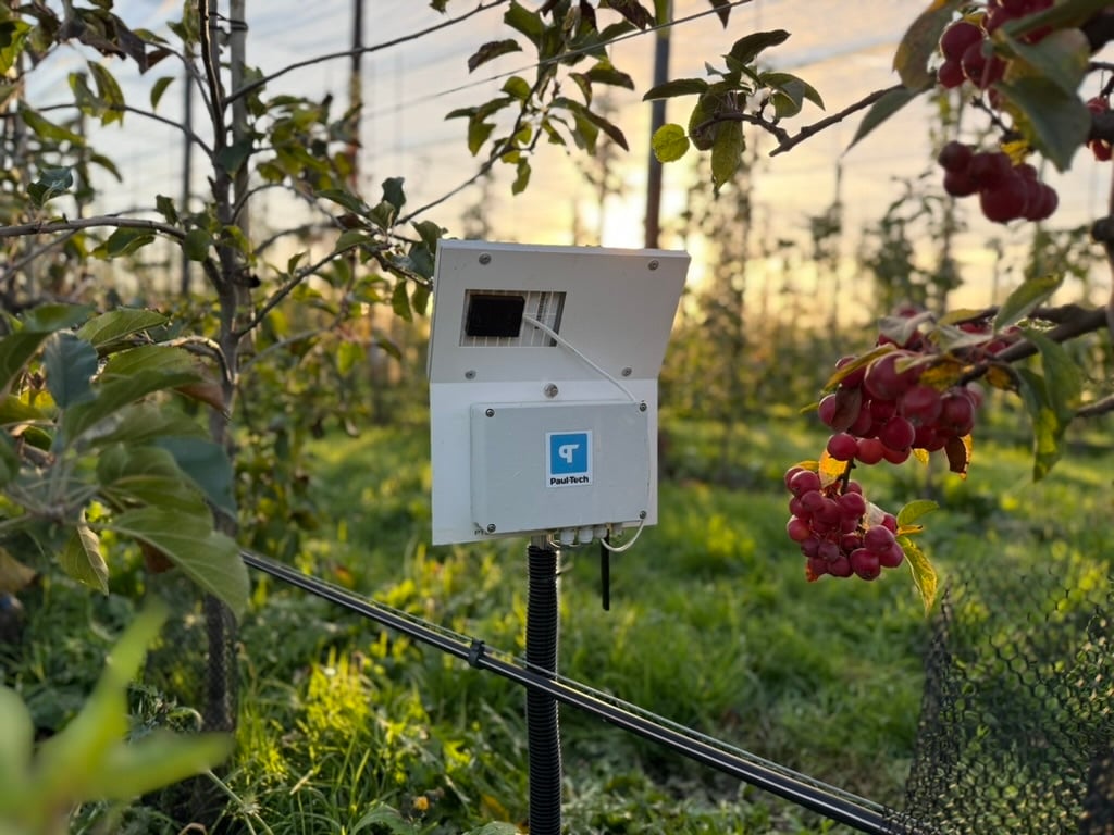 Vineyard monitoring equipment