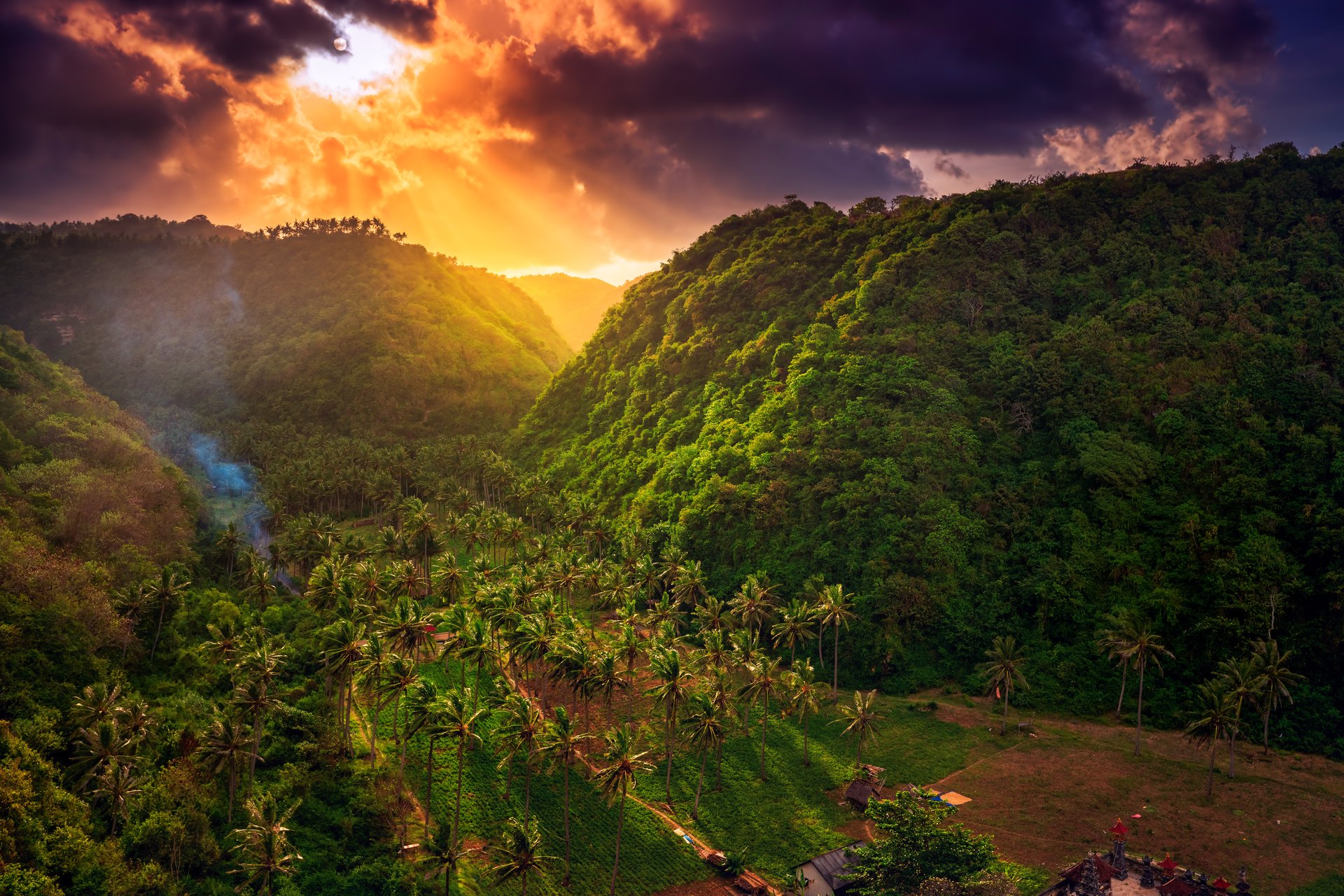 Nature landscape with scenery with rice field and mountain covered tropical rainforests jungle on background colorful sunset