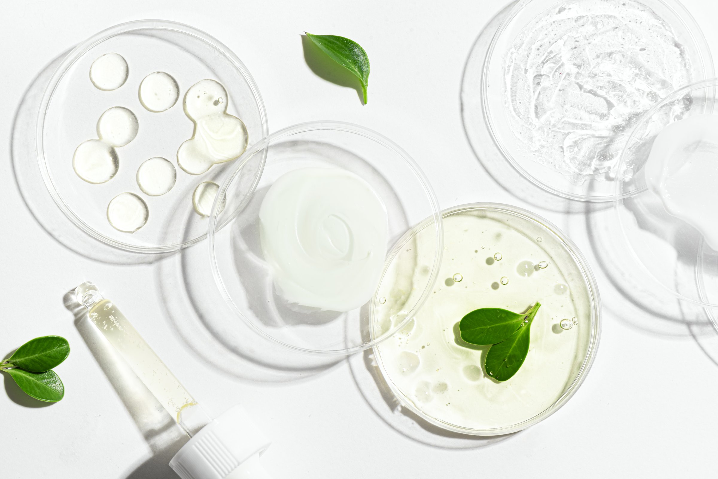 Natural skin care products swatches in petri dish with dropper and green plants leaves isolated on white background. Trendy composition of beauty product sample with hard shadows, organic vegan plant based skin care concept.