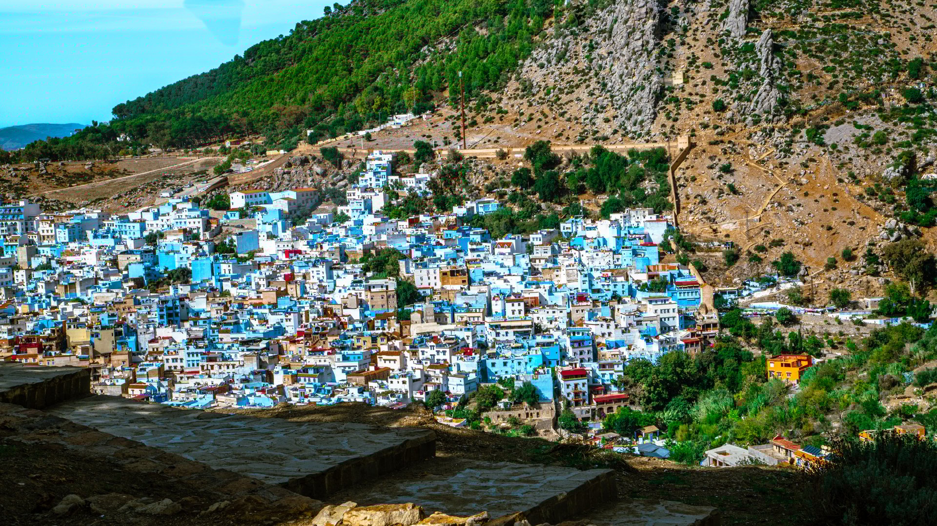 A panoramic view of the city of Chefchaouen in Morocco, with its blue houses, nestled between lush green mountains, under a clear and sunny sky.