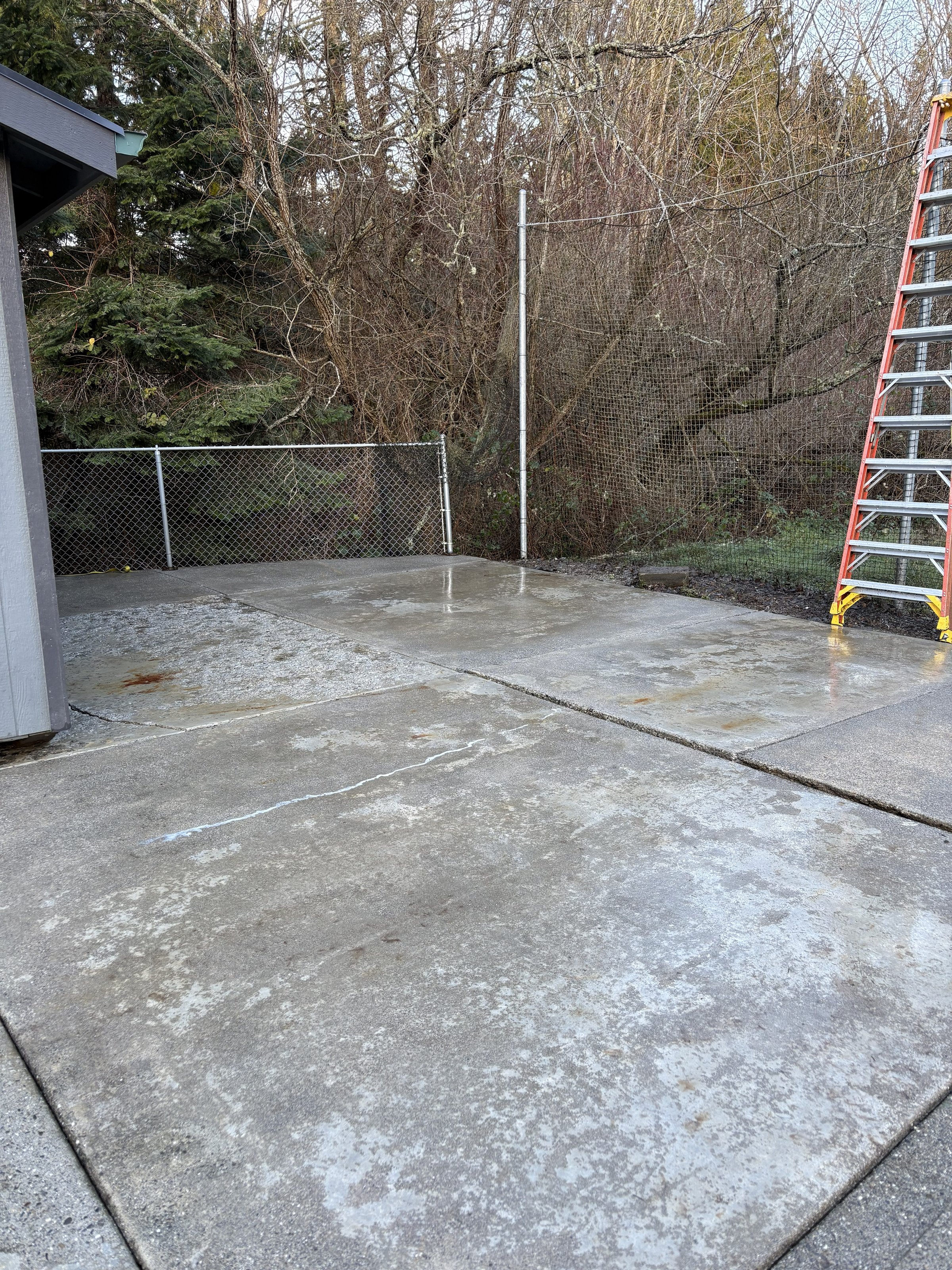 Professional cleaning service by Nicholson's Cleaning