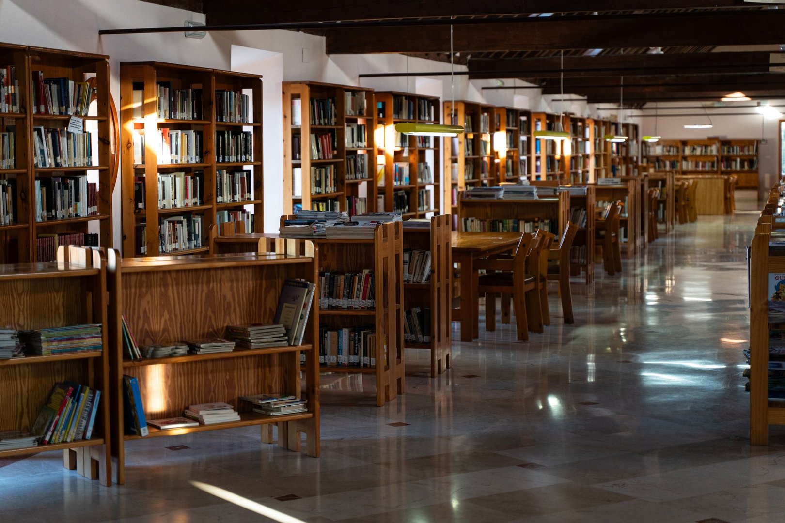 Serene Library Room with Rows of Books