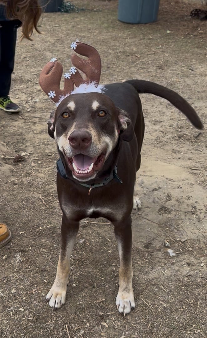 Hands-on learning at Mindful Journey Academy