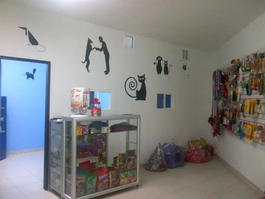 Pet shop interior with wall art of cats and dogs, a glass display case with pet products, and various items on wall shelves.