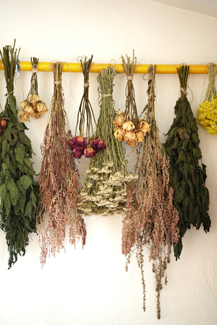 Drying medicinal herbs in an old-fashioned way.