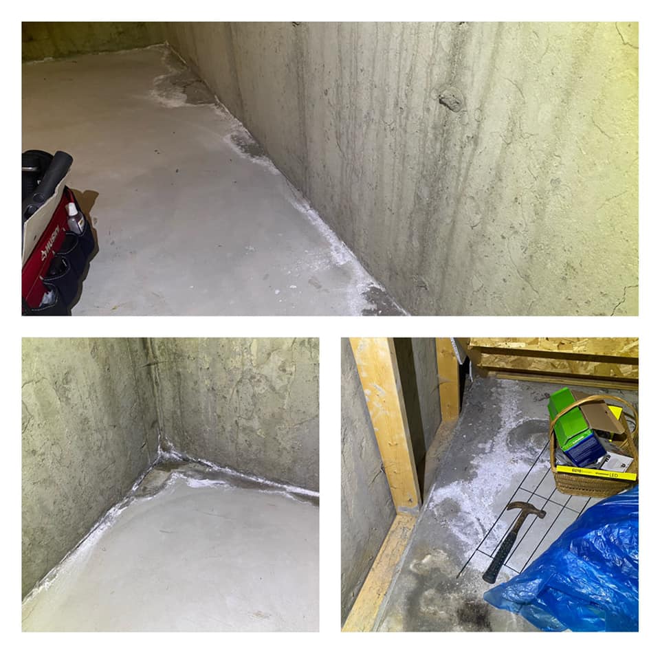 Professional Inspection