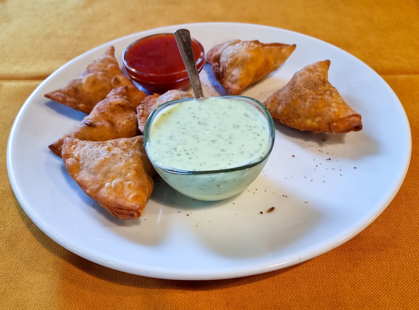 Premium Indian cuisine presentation