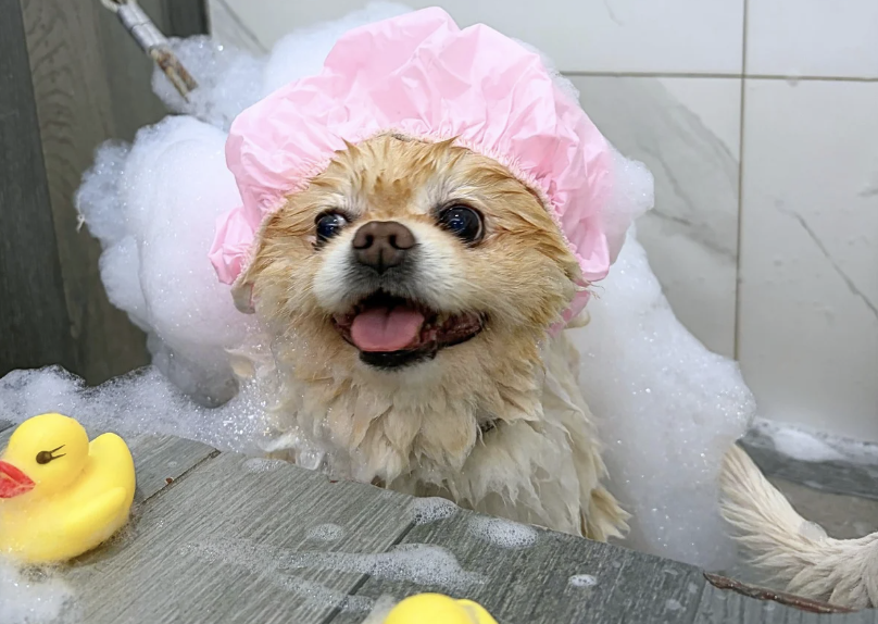 Estética & Spa - Huellitas Resort