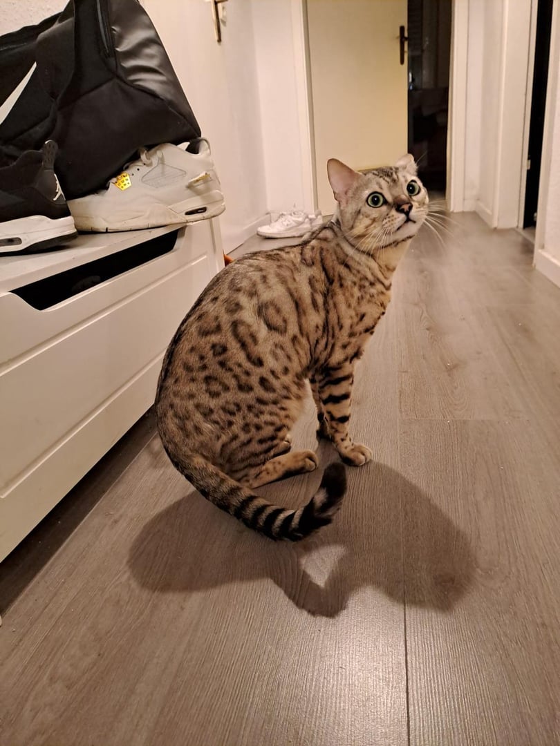 Rettungsgeschichte 2